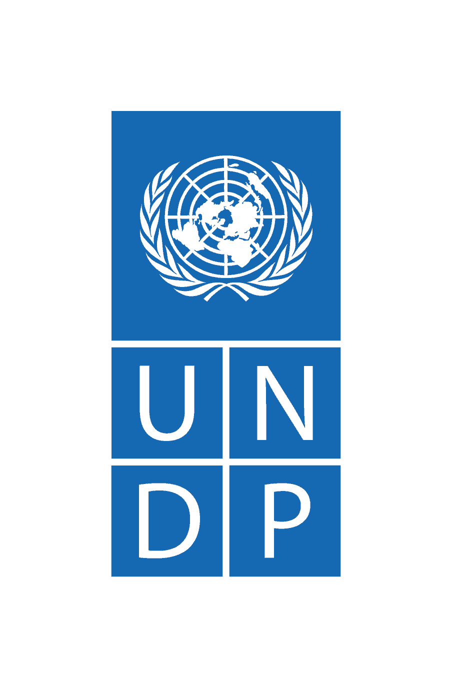 Logo UNDP